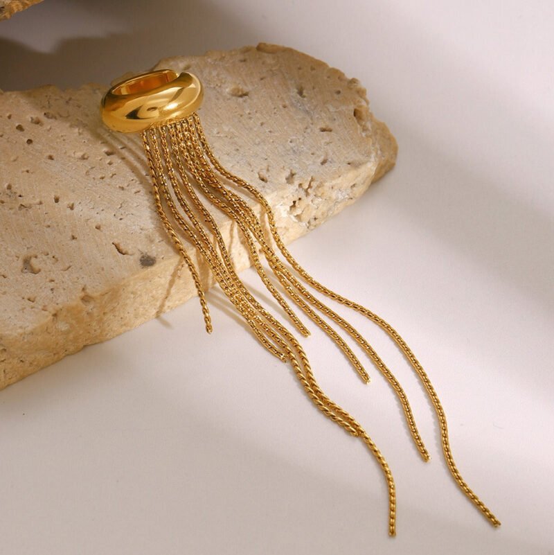 18K gold tassel design light luxury style earrings - 图片 2