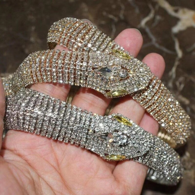 Water Diamond Snake Head Long Neckchain - 图片 7