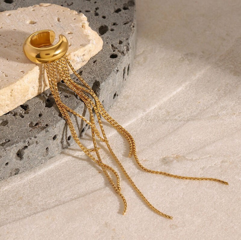 18K gold tassel design light luxury style earrings - 图片 6